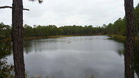 P1020208