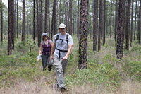 06-Searching for lost punch card