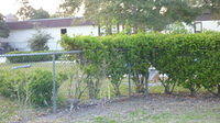 P1000374