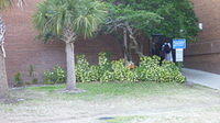 P1000398